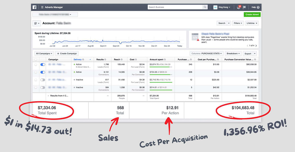 roi-screenshot-1